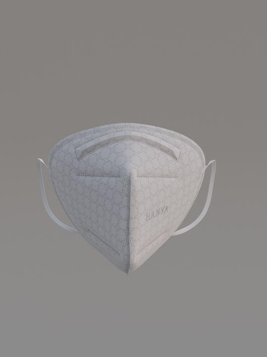 Hanya KN95 Face Mask in Monogram